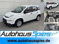 Bild des Angebotes Fiat Panda 1.0 Mild Hybrid  Base Klima DAB