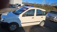 Bild des Angebotes Fiat Panda 1.1 8V Active TÜV+AU Neu