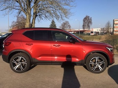 Bild des Angebotes Volvo XC40 B3 Plus Dark Panoramadach
