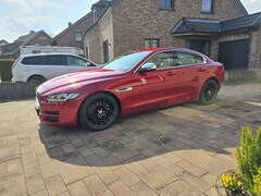 Bild des Angebotes Jaguar XE E-Performance Aut. Portfolio