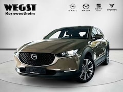 Bild des Angebotes Mazda CX-3 0 Exclusive-Line 2WD AHK
