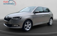 Bild des Angebotes Skoda Fabia FABIA 1.0TSI STYLE+LED+RFK+SHZ+KEYLESS