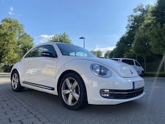 Bild des Angebotes VW Beetle Sport