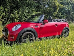 Bild des Angebotes MINI One Cabrio Mini One Cabrio, TÜV/ASU u. Service neu