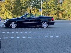 Bild des Angebotes Mercedes-Benz CLK 350 Cabrio 7G-TRONIC Avantgarde Sport Edition