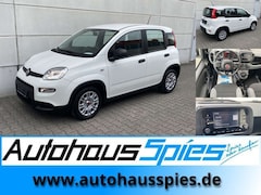 Bild des Angebotes Fiat Panda 1.0 Mild Hybrid  Base Klima DAB