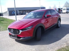 Bild des Angebotes Mazda CX-30 Exclusive-Line 2WD,Zugvorrichtung abnehmbar