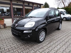 Bild des Angebotes Fiat Panda Easy Klima/Kamera/Winterräder/HU neu
