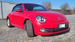 Bild des Angebotes VW Beetle Design
