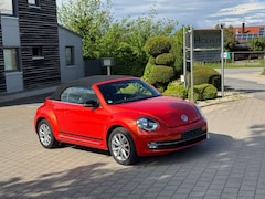 Bild des Angebotes VW Beetle Cabriolet Club BMT