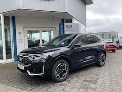 Bild des Angebotes Ford Kuga ST-Line X PHEV *LED-Matrix