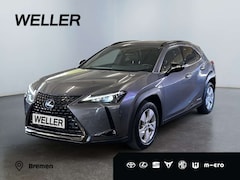Bild des Angebotes Lexus UX 250h Style+ Edition *Bi-LED*ACC*CAM*CarPlay*