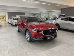 Bild des Angebotes Mazda CX-30 2.5 140PS Exclusive-Line 360 °,Bose,SHZ