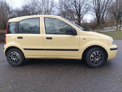 Bild des Angebotes Fiat Panda Panda 1.2 Active