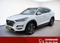 Bild des Angebotes Hyundai TUCSON PREMIUM 4WD 2.0CRDi 185PS.AUTOM.AHK.LED.NAVI.KLIMA