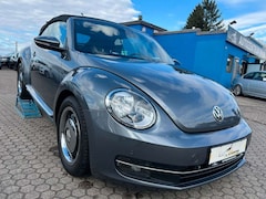 Bild des Angebotes VW Beetle Cabriolet Cup BMT