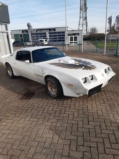 Bild des Angebotes Pontiac Trans Am der Spitzenklasse 454 CUI TÜV und H-Zul
