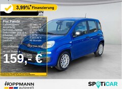 Bild des Angebotes Fiat Panda 1.0 Mild-Hybrid *Klima*PDC*5sitzer*