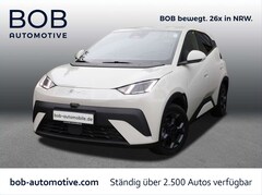 Bild des Angebotes BYD Dolphin SURF Comfort 8-fach bereift