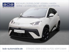 Bild des Angebotes BYD Dolphin SURF Comfort 8-fach bereift