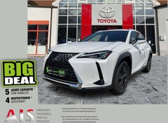 Bild des Angebotes Lexus UX 250h Launch Edition Dachträger*Navi*KAM*DAB