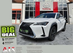 Bild des Angebotes Lexus UX 250h Launch Edition Dachträger*Navi*KAM*DAB