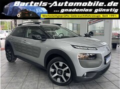 Bild des Angebotes Citroen C4 Cactus Shine, erst 30tkm!, Kamera, Panorama