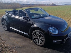 Bild des Angebotes VW Beetle The Beetle Cabriolet 1.4 TSI - Allstar