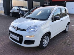 Bild des Angebotes Fiat Panda MY25 1.0 Klima PDC Citypaket