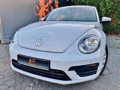Bild des Angebotes VW Beetle #1.HAND#TÜV#SERVICE#KLIMA#SHZ#TEMPOM#TOP!