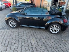 Bild des Angebotes VW Beetle Cabriolet Design BMT/Start-Stopp