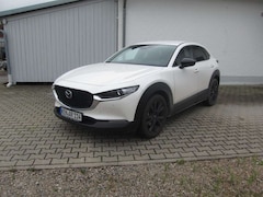 Bild des Angebotes Mazda CX-30 2.5L e-SKYACTIV G 140ps Homura / Head-Up Display /