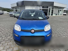 Bild des Angebotes Fiat Panda NEU 1.0 GSE Hybrid DAB Klima City-Paket