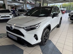 Toyota RAV 4 2.5 Hybrid Style Selection Navi JBL 360° Kamera
