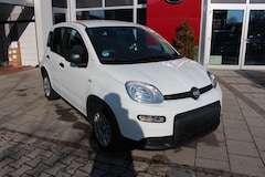Bild des Angebotes Fiat Panda