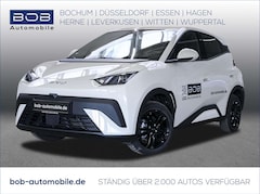 Bild des Angebotes BYD Dolphin SURF Active 8-fach bereift