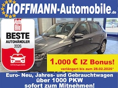 Bild des Angebotes Skoda Fabia Soleil Navi,Sitzheizung,PDC,LED