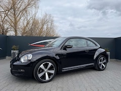 Bild des Angebotes VW Beetle BMT, 1. Hand, PDC, Sitzheizung