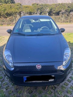 Bild des Angebotes Fiat Punto