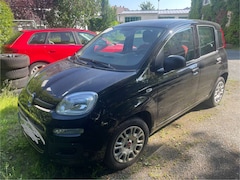 Bild des Angebotes Fiat Panda Panda 1.2 Start