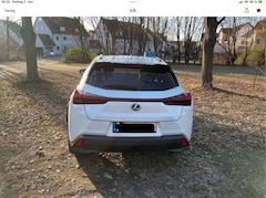 Bild des Angebotes Lexus UX 250h Executive Line