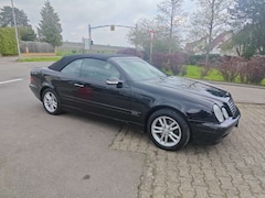 Bild des Angebotes Mercedes-Benz CLK 230 CLK 230 Kompressor EVO, HU/AU Neu, erst 85 Tkm