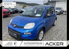 Bild des Angebotes Fiat Panda NEU 1.0 GSE Hybrid DAB Klima City-Paket