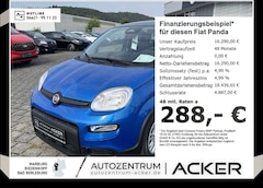 Bild des Angebotes Fiat Panda NEU 1.0 GSE Hybrid DAB Klima City-Paket