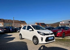 Bild des Angebotes Kia Picanto Edition 7  Klima Sitzheizung  1-Hand