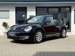 Bild des Angebotes VW New Beetle Design°Navi°MFL°PDC°Alu°PDC°Sitzhzg