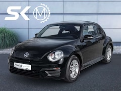Bild des Angebotes VW Beetle | Beetle 1.2 TSI | 3. Hand | Sitzheizung