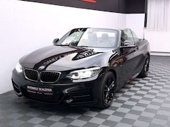 Bild des Angebotes BMW 240 xDrive Cabrio *H/K*Carbon*DAB*RFK*SHZ*