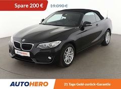 Bild des Angebotes BMW 220 220i Advantage *NAVI*BI-XENON*TEMPO*PDC*SHZ*