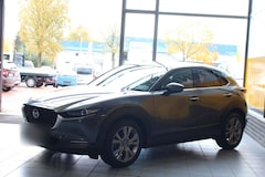 Bild des Angebotes Mazda CX-3 0 Selection 2WD Matrix Bose HuD Navi SR + WR